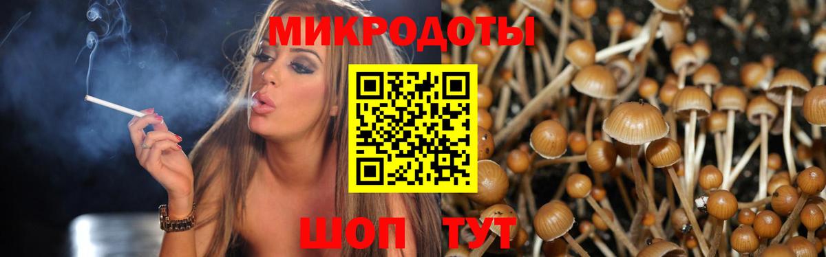 Псилоцибиновые грибы Psilocybe  Вход с VPN  Жуковский  Псилоцибиновые грибы GOLDEN TEACHER 